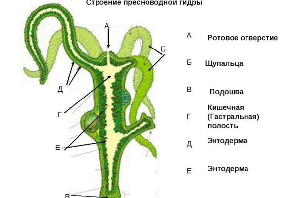 Свежие ссылки кракен