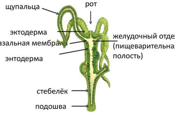 Кракен даркнет маркет